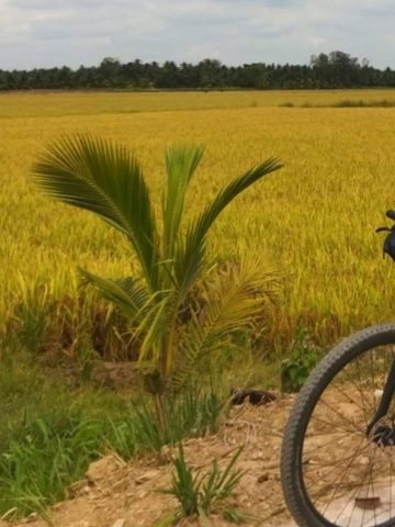 Mekong cycling tour